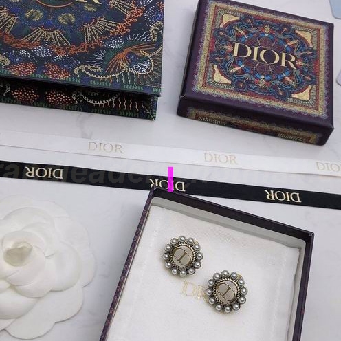 DIOR Earrings 288